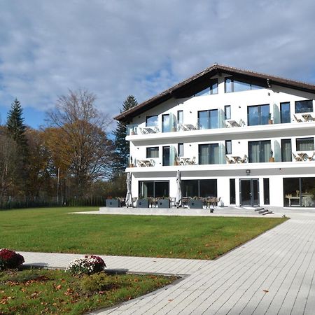 Pensiunea Amonte Avrig Exterior foto