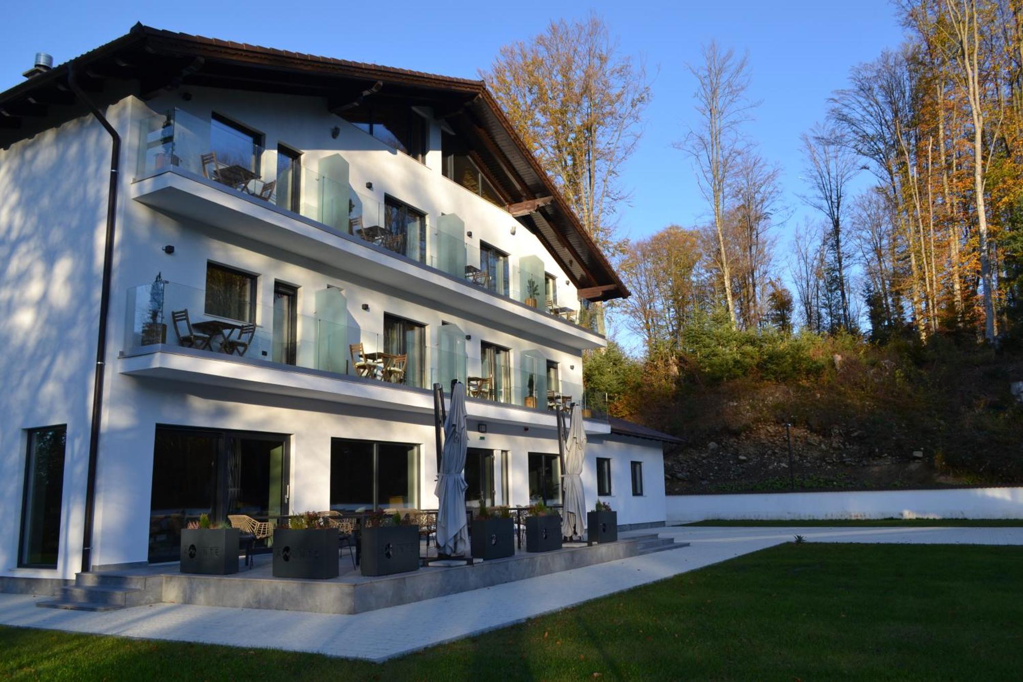 Pensiunea Amonte Avrig Exterior foto